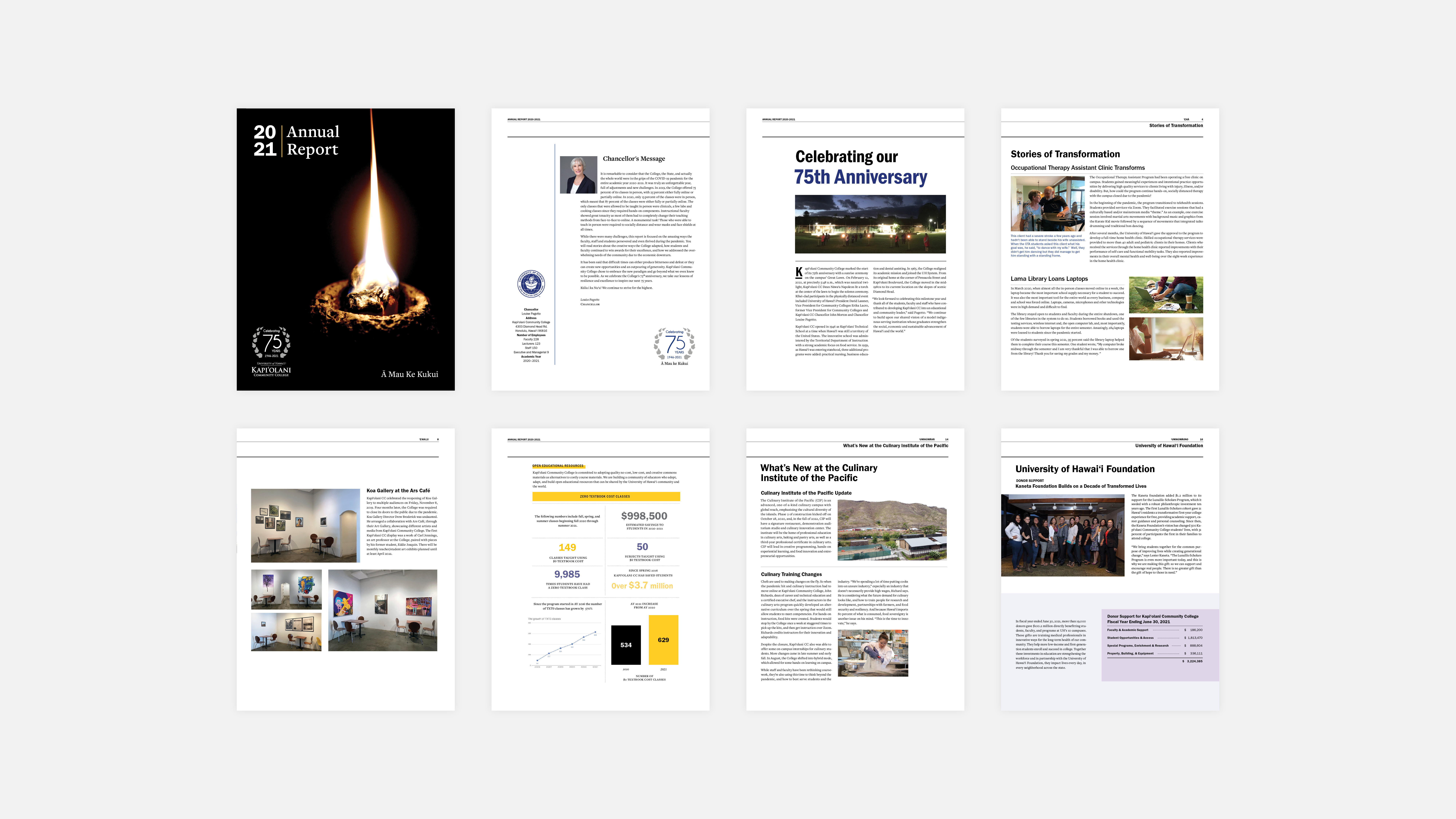 annual report